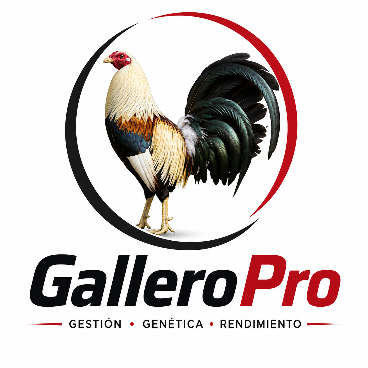 GalleroPro